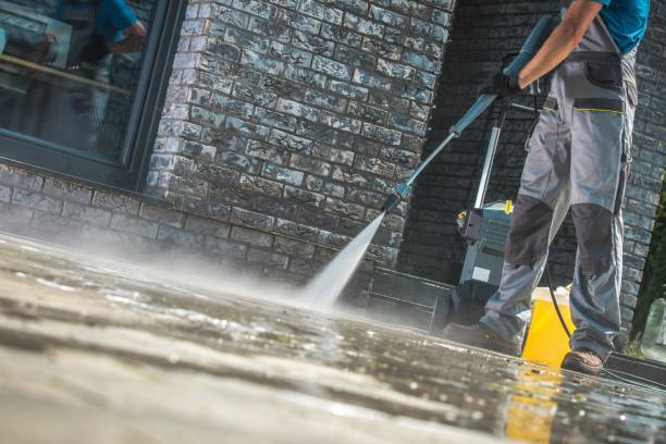 Best Dumpster Area Cleaning  in Golden Meadow, LA